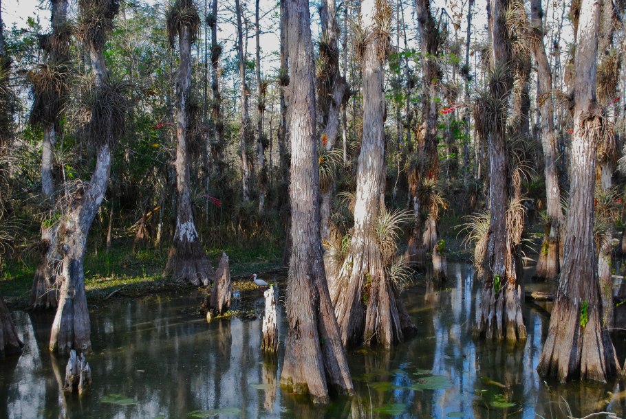 Арка из дерева