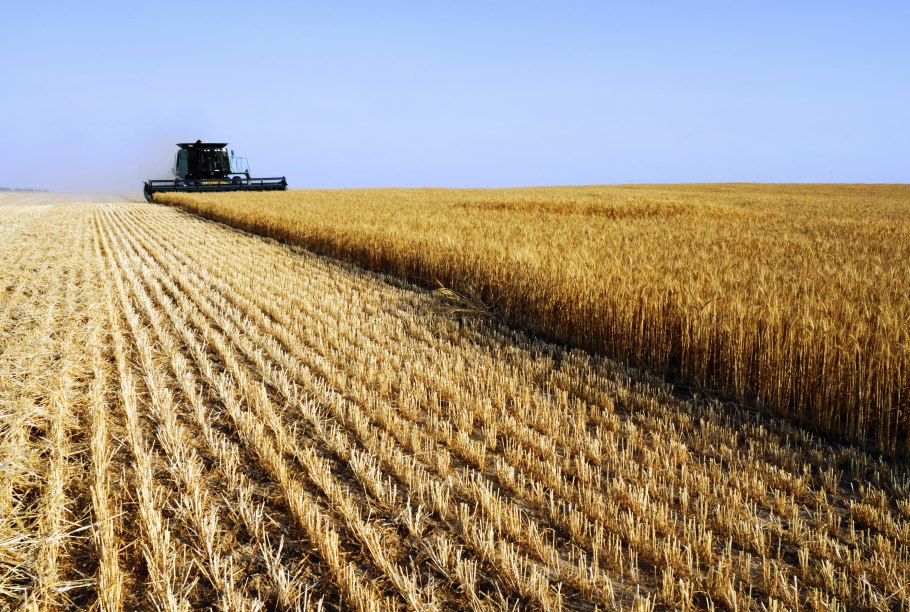 Штат Канзас поля