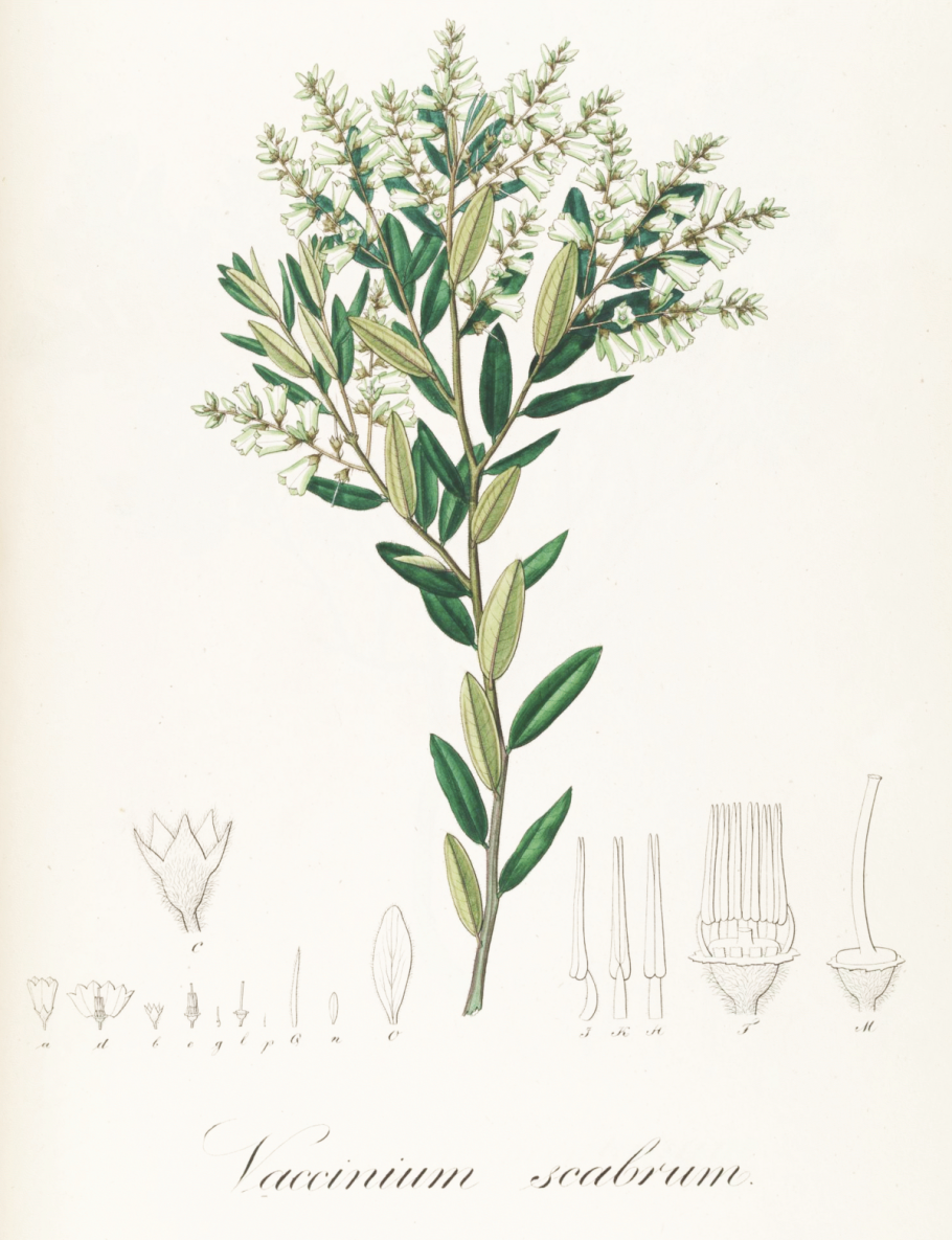 5320-1602512 Цилиндр сцепления главный КАМАЗ