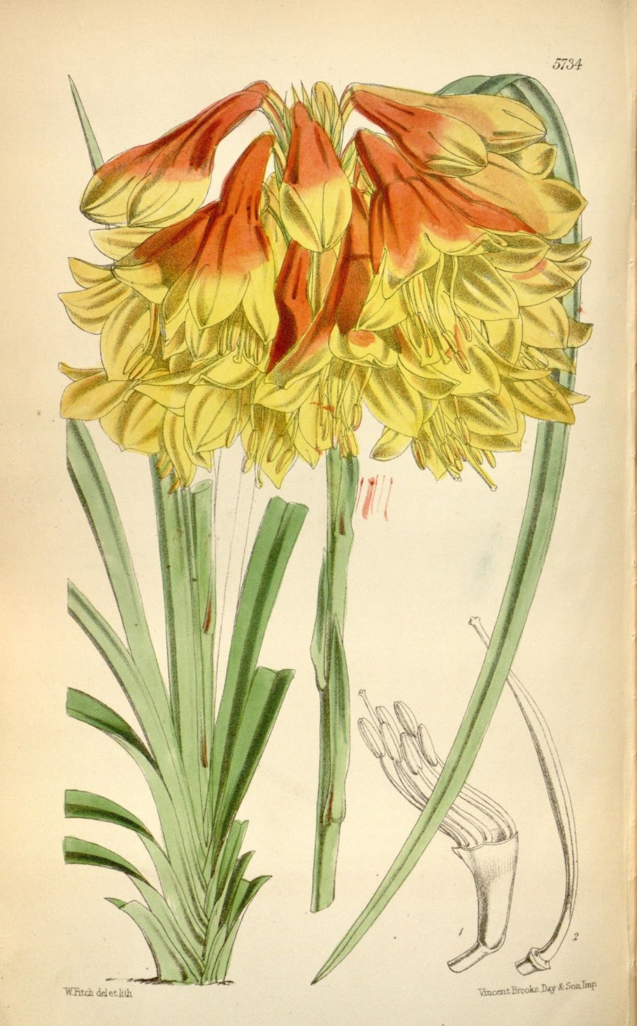 Портрет Лопухиной Лермонтова