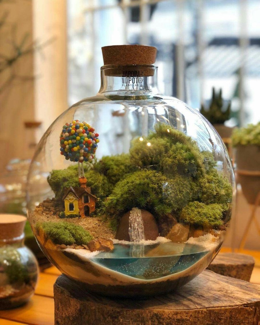 Флорариум с миртом