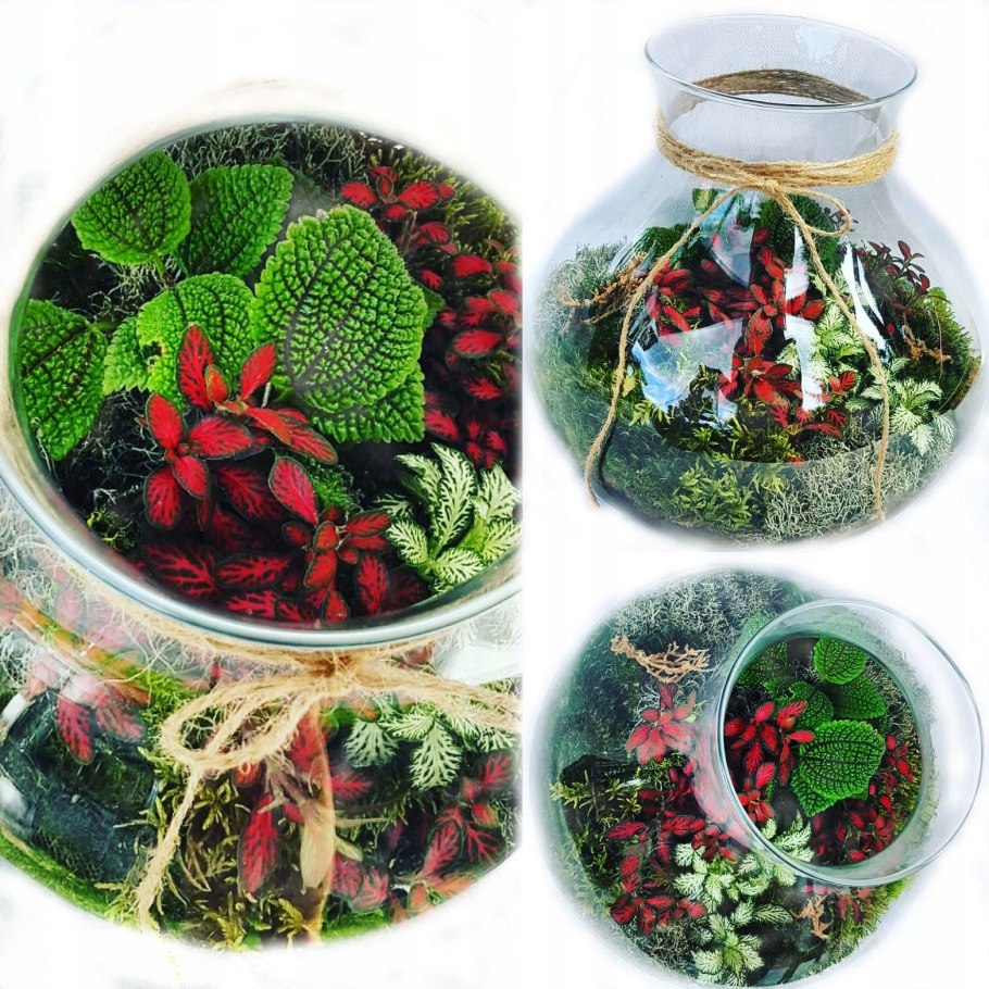 Лес в банке магазин