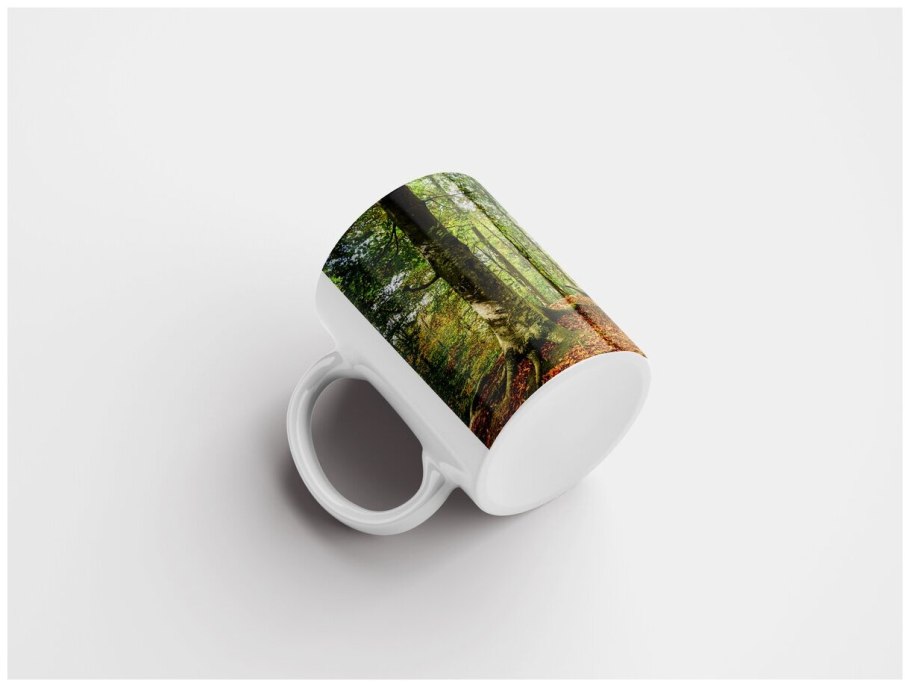 Осеннее Вдохновение