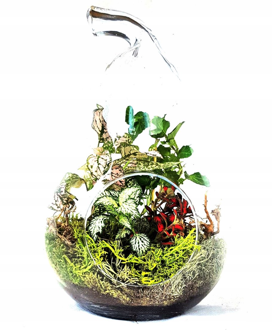 Лес в баночке