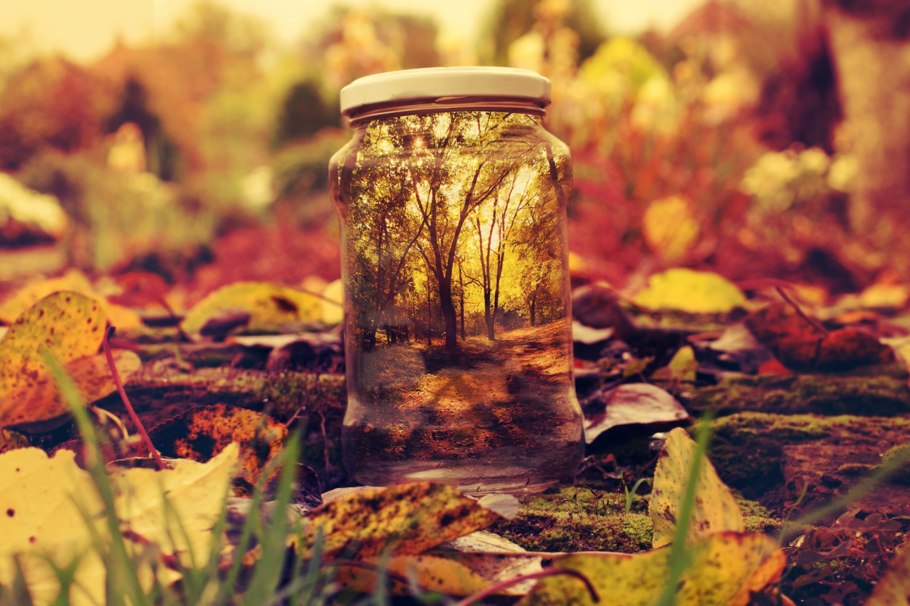 Банковский лес