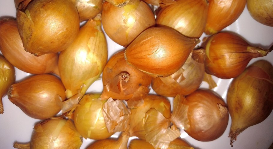 Лук зеленый на белом