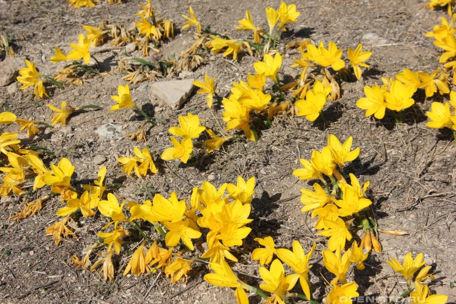 Прогулка по ручью