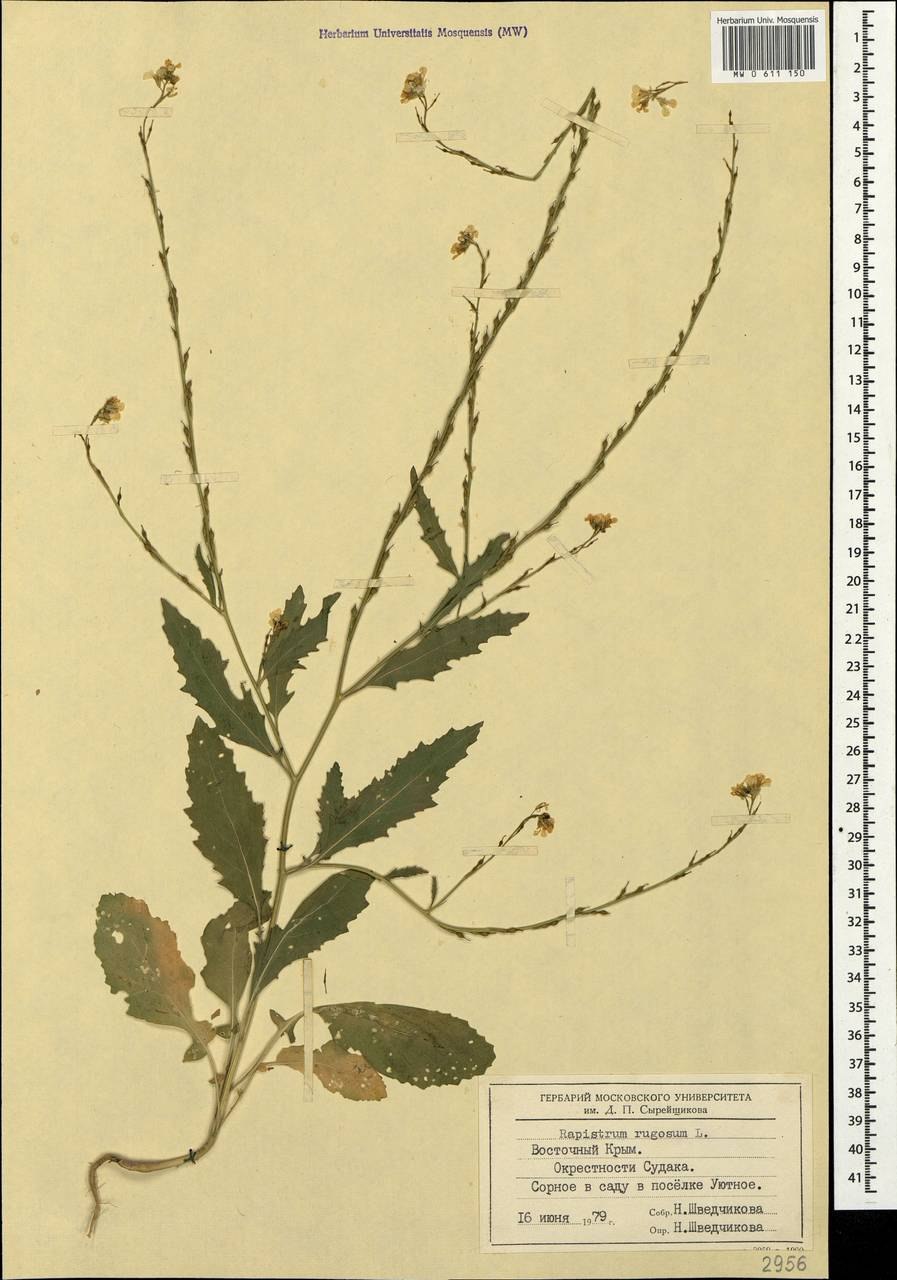 Репник Плантариум