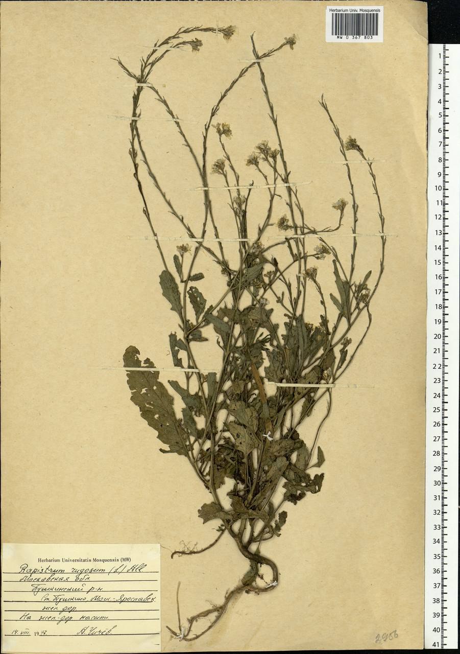 Живопись наивное искусство Андрей Репников