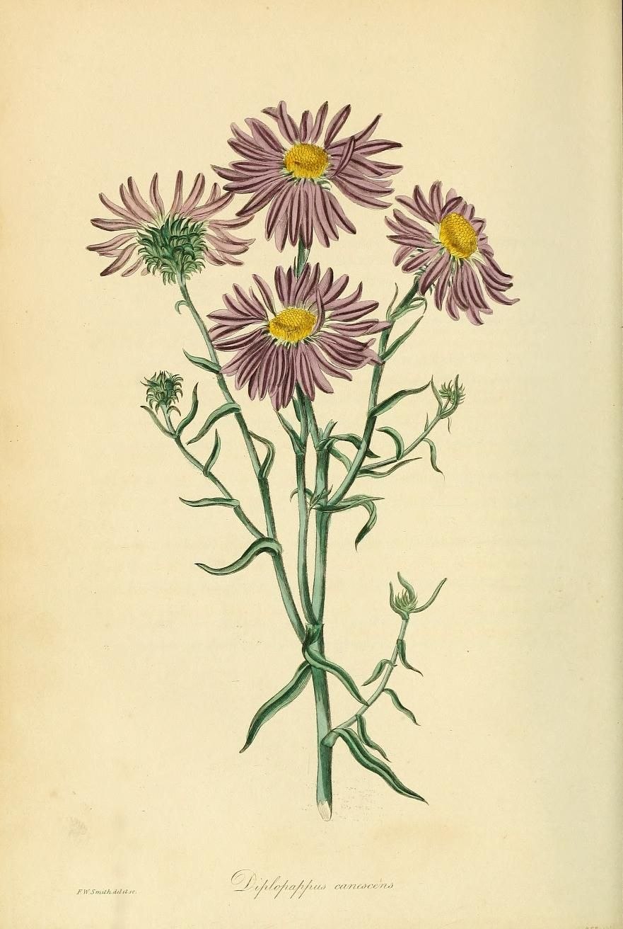 Строка поиска