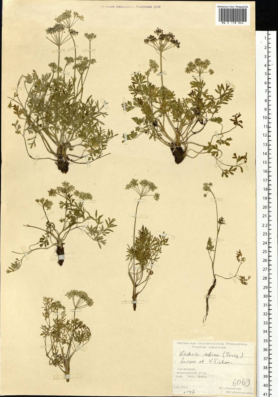 Жгун-с схема