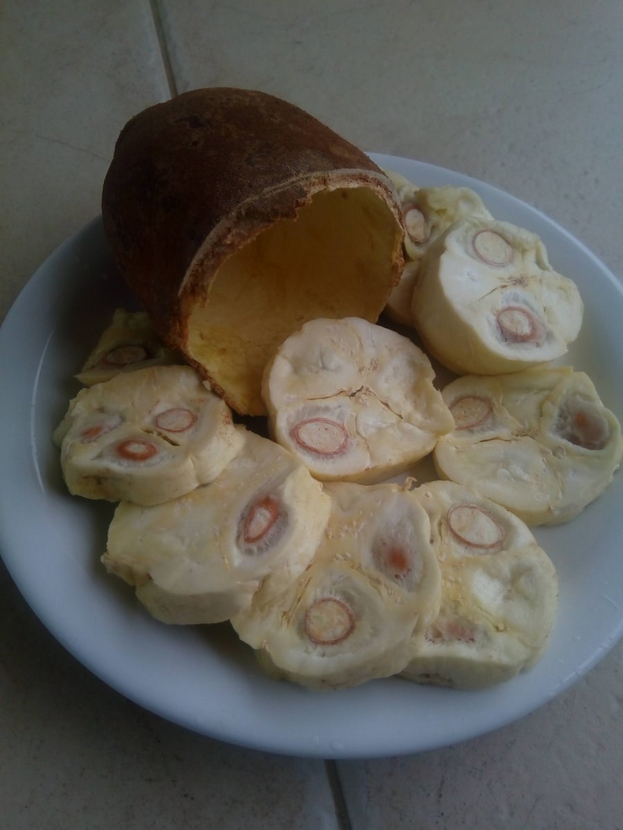 Theobroma grandiflorum