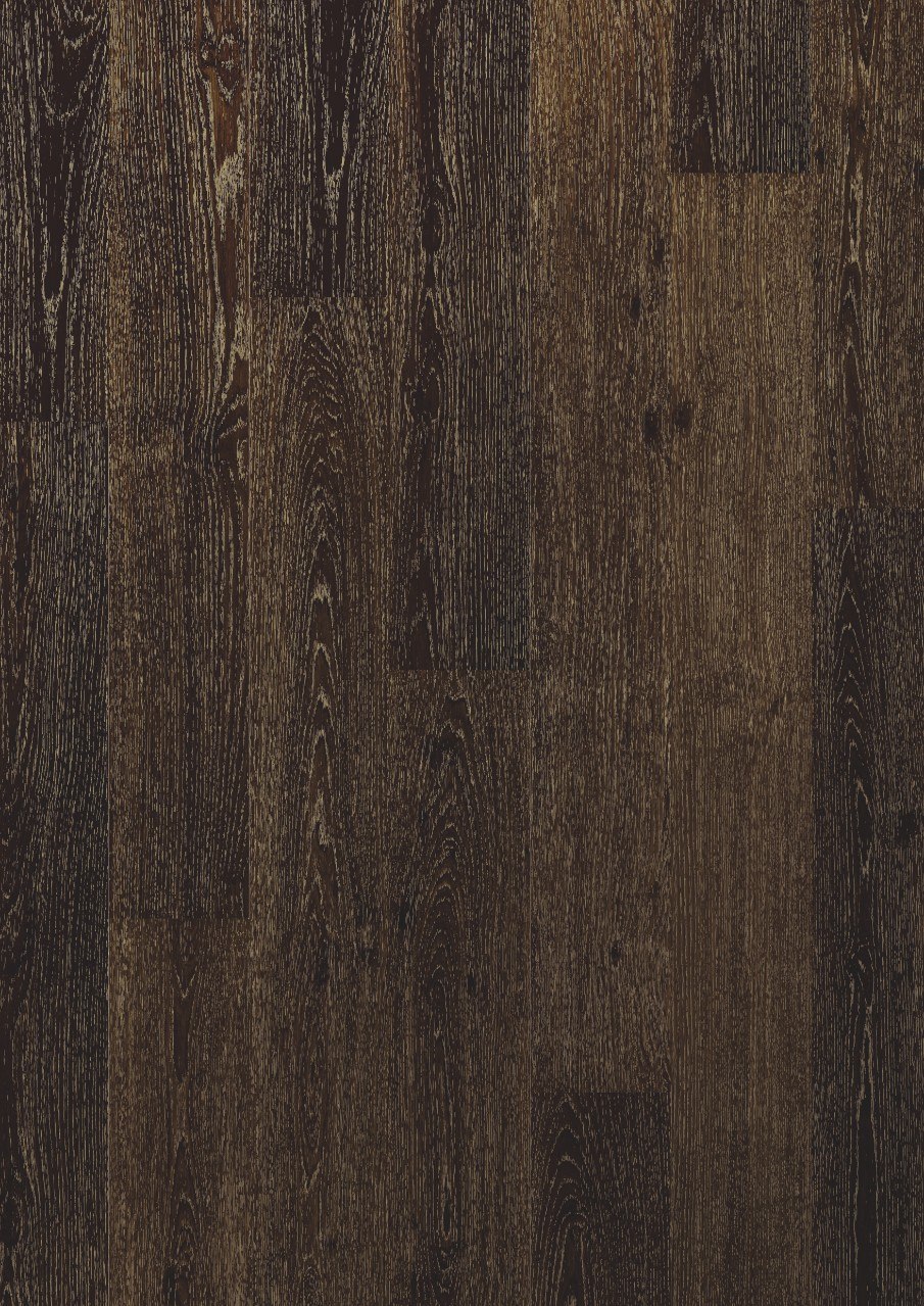 Черные ветки дуба