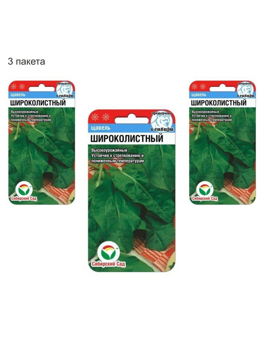 Конский щавель (дикий щавель)