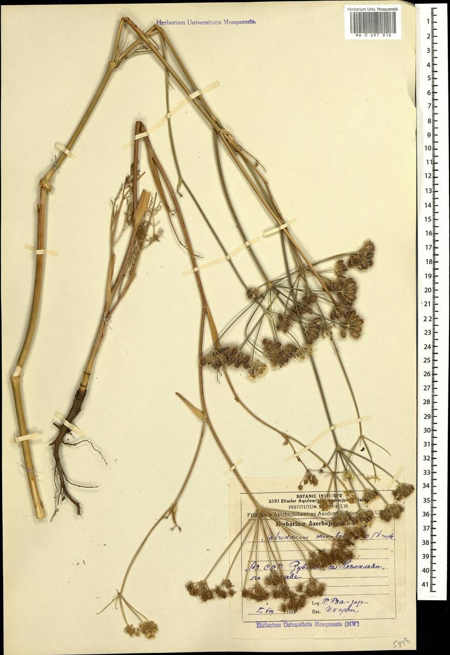 Материнская плата MSI 865gvm2-LS