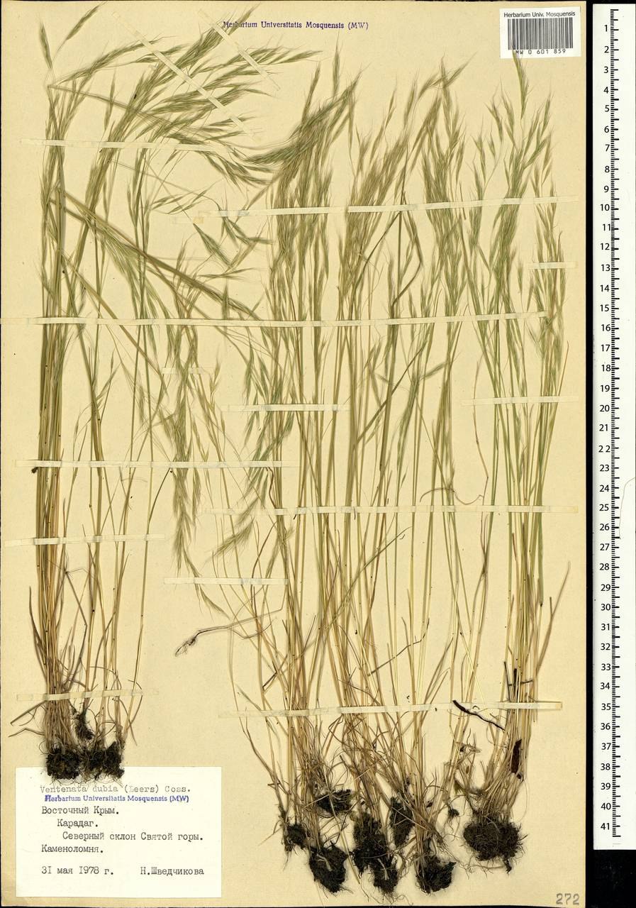Раздел dubia текстология