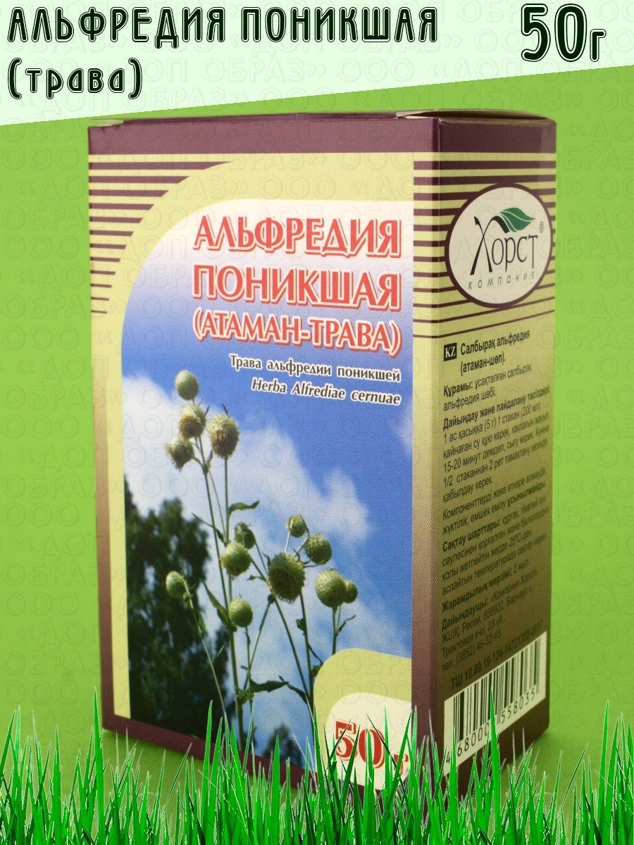 Морковь Дикая корневище