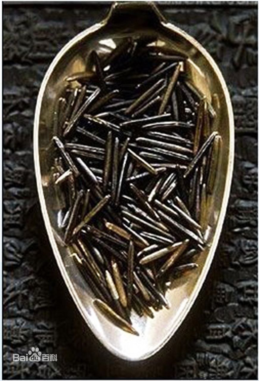 Осенние травянистые растения с названием