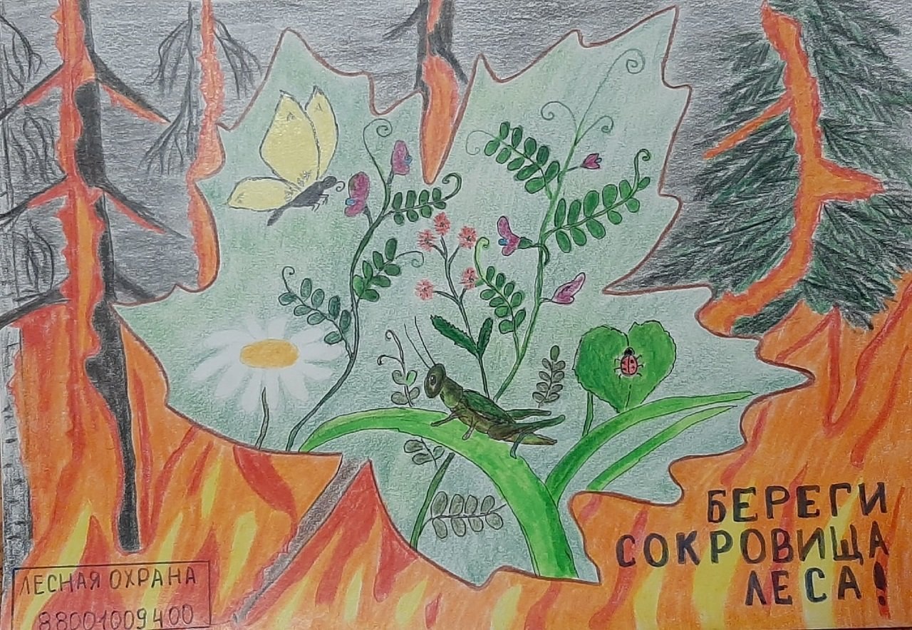 Оберегать лес. Плакат защита природы. Рисунок по защите природы. Плакат на тему защита природы. Рисунок на тему экология.