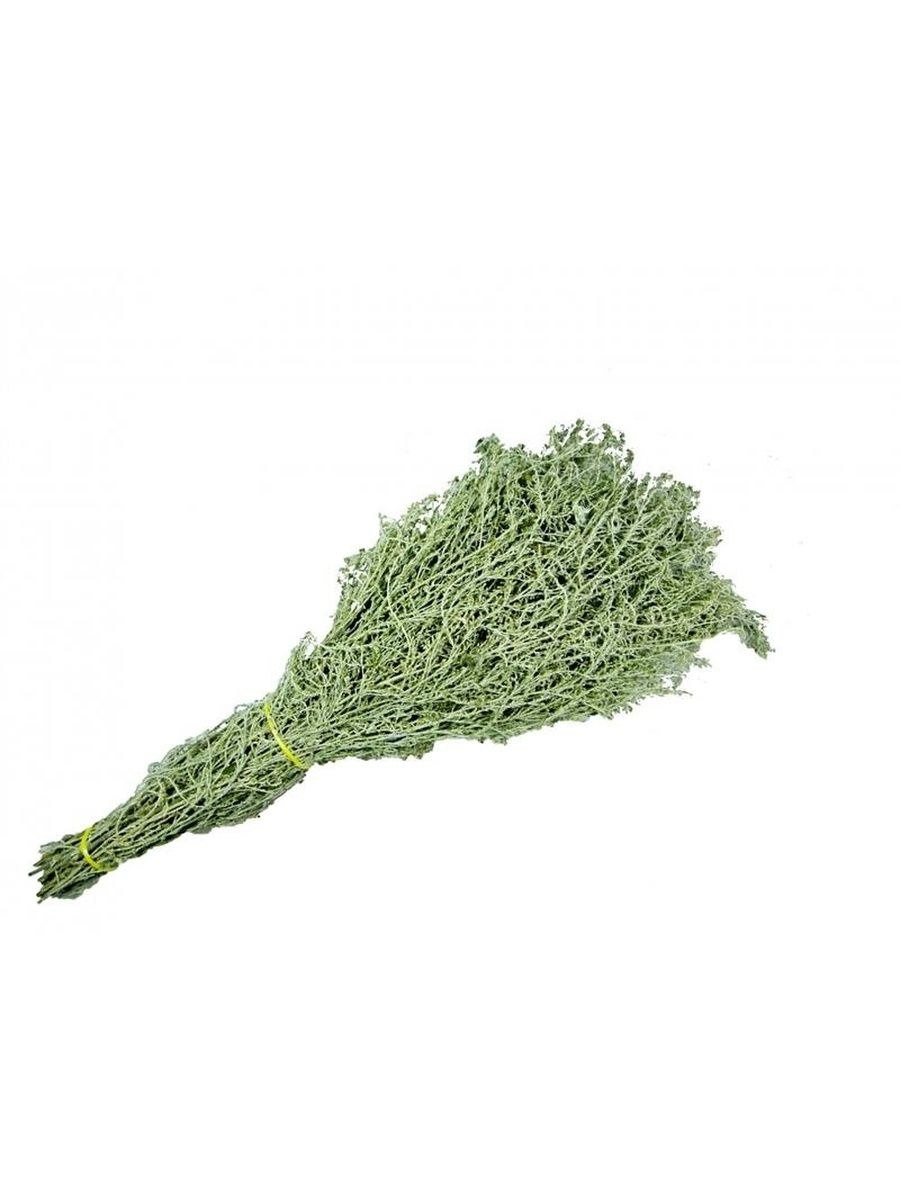 Полынный веник для дома