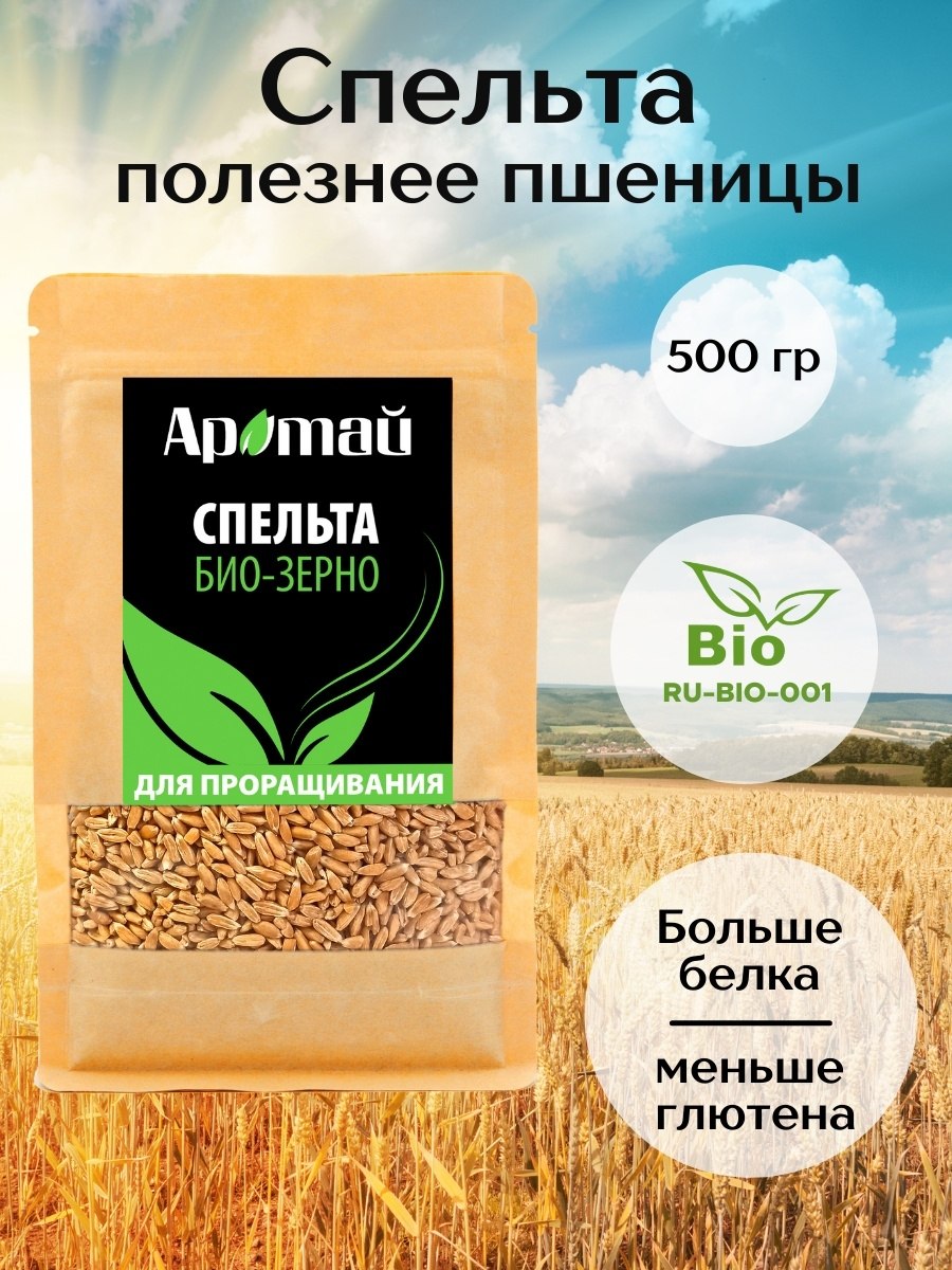 Пророщенное зерно пшеницы