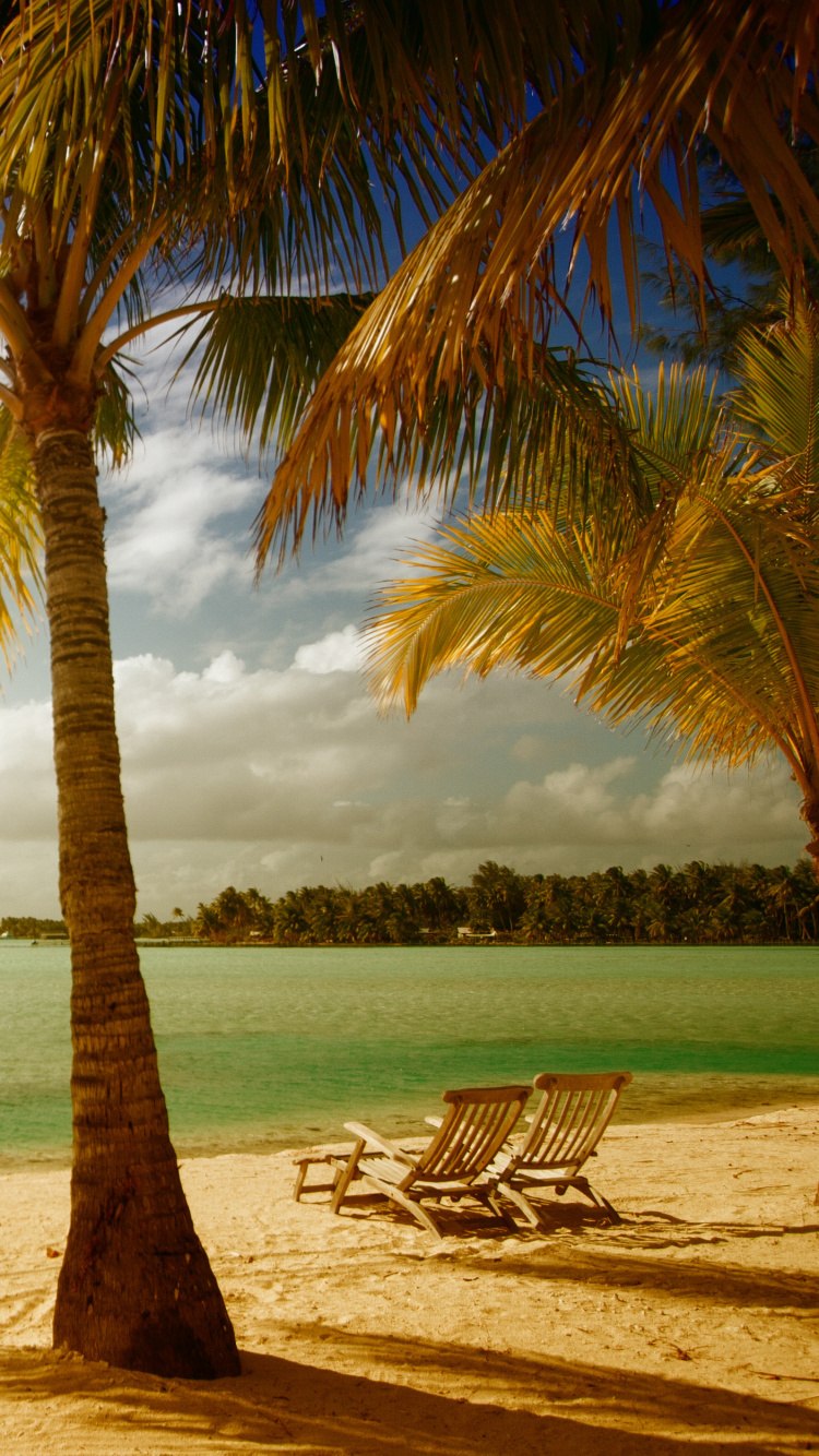 Пальмоцветные