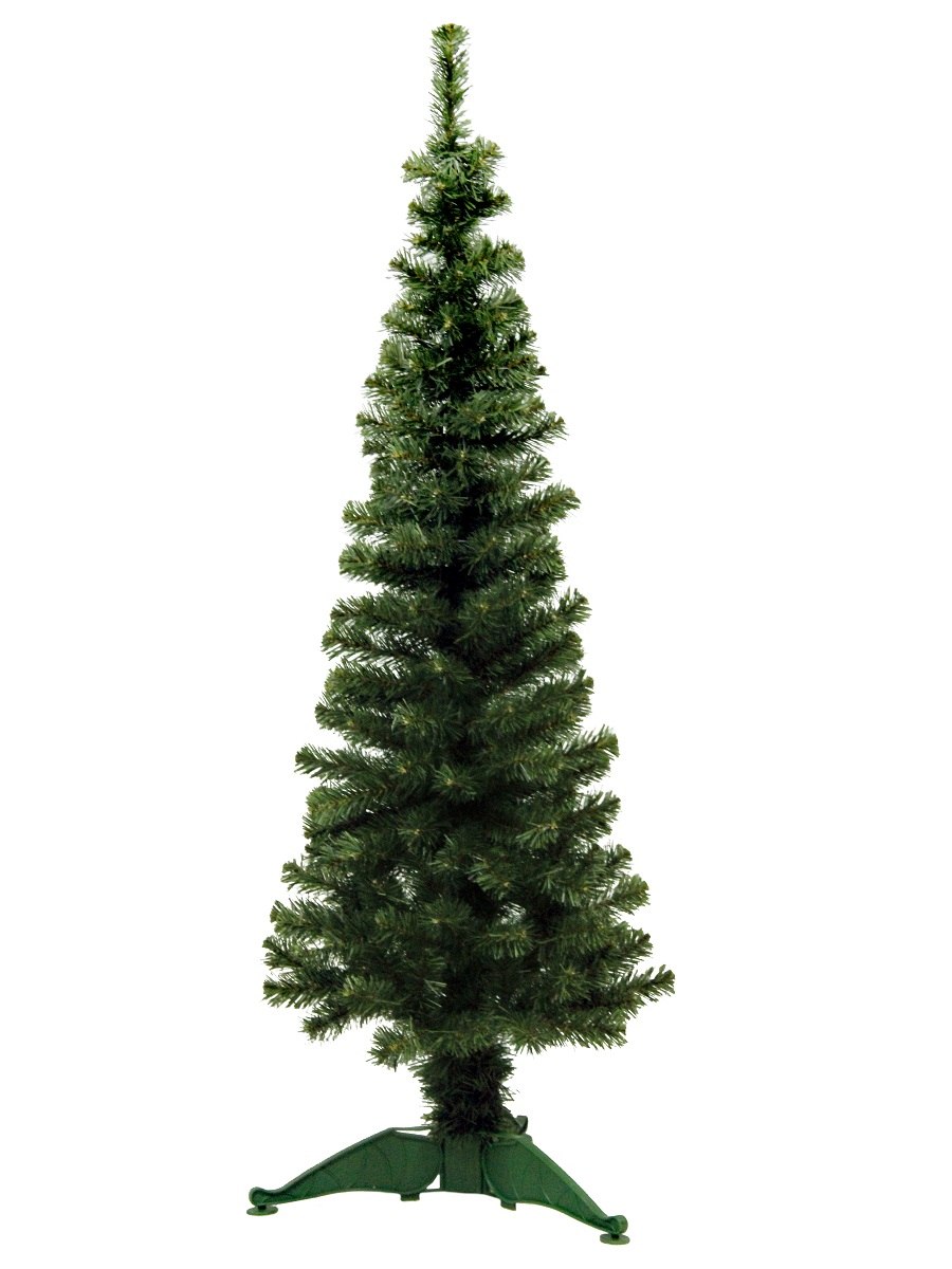 Ель кипарисовик Коника