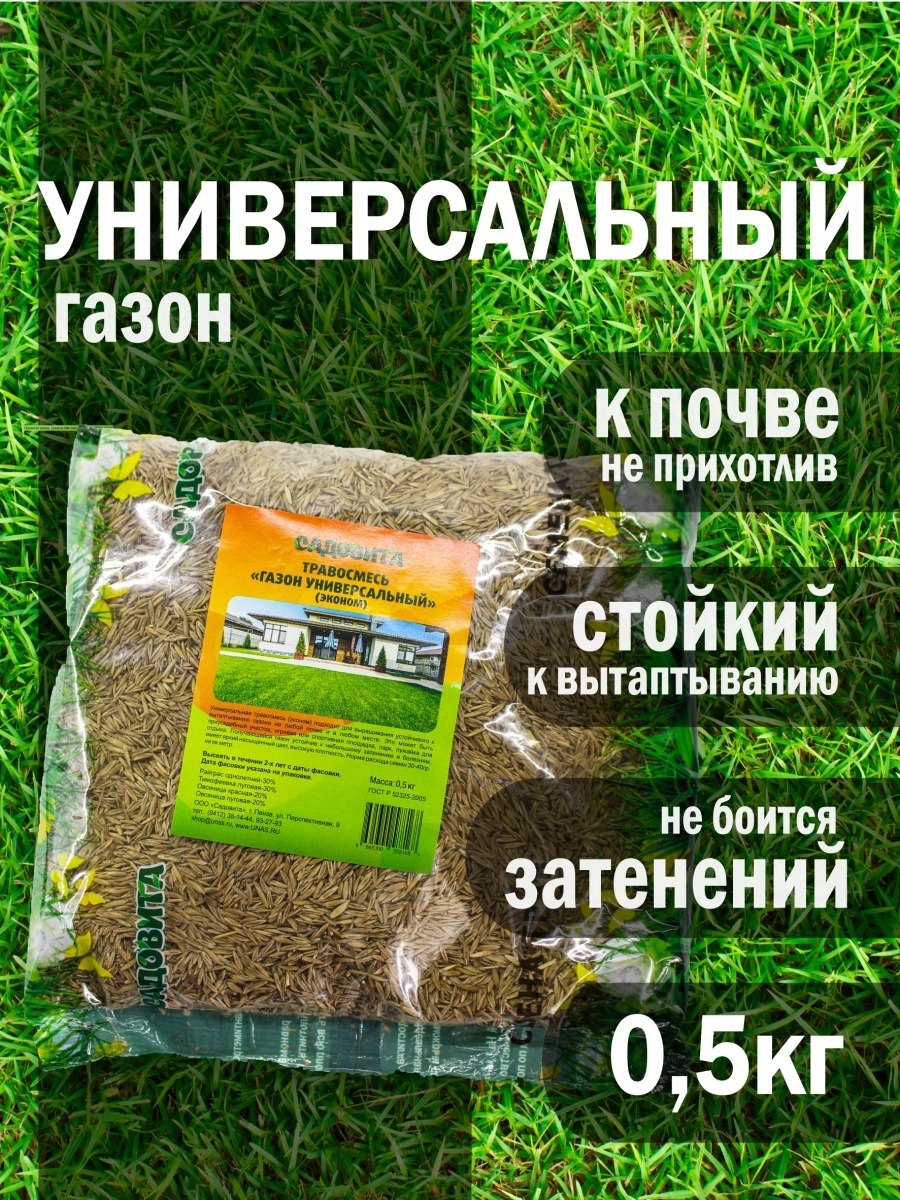 Тимофеевка Луговая семена