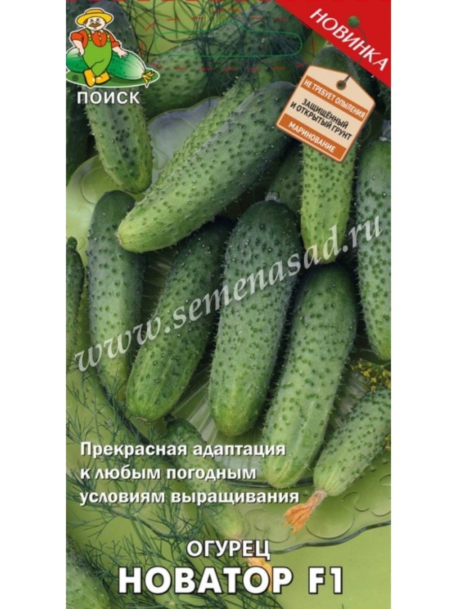 Огурец Новатор f1 АГРООПТ