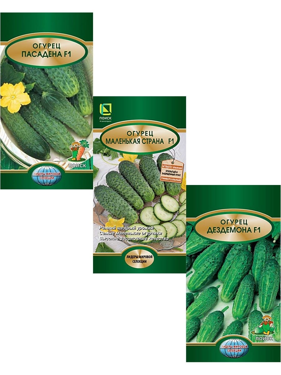 Огурец корнишон Маринда