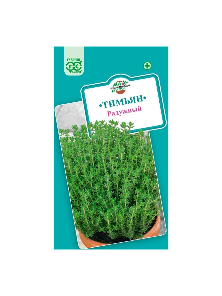 Тимьян семена фото