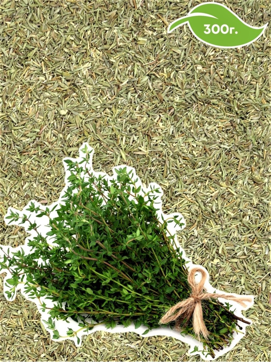 Тимьян лимонный (чабрец) 0,1гр. Плазменные семена многолетник