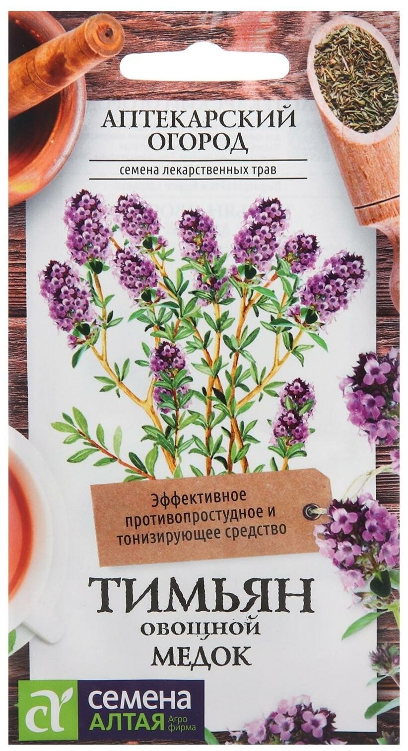 Тимьян ползучий пурпурный ковер