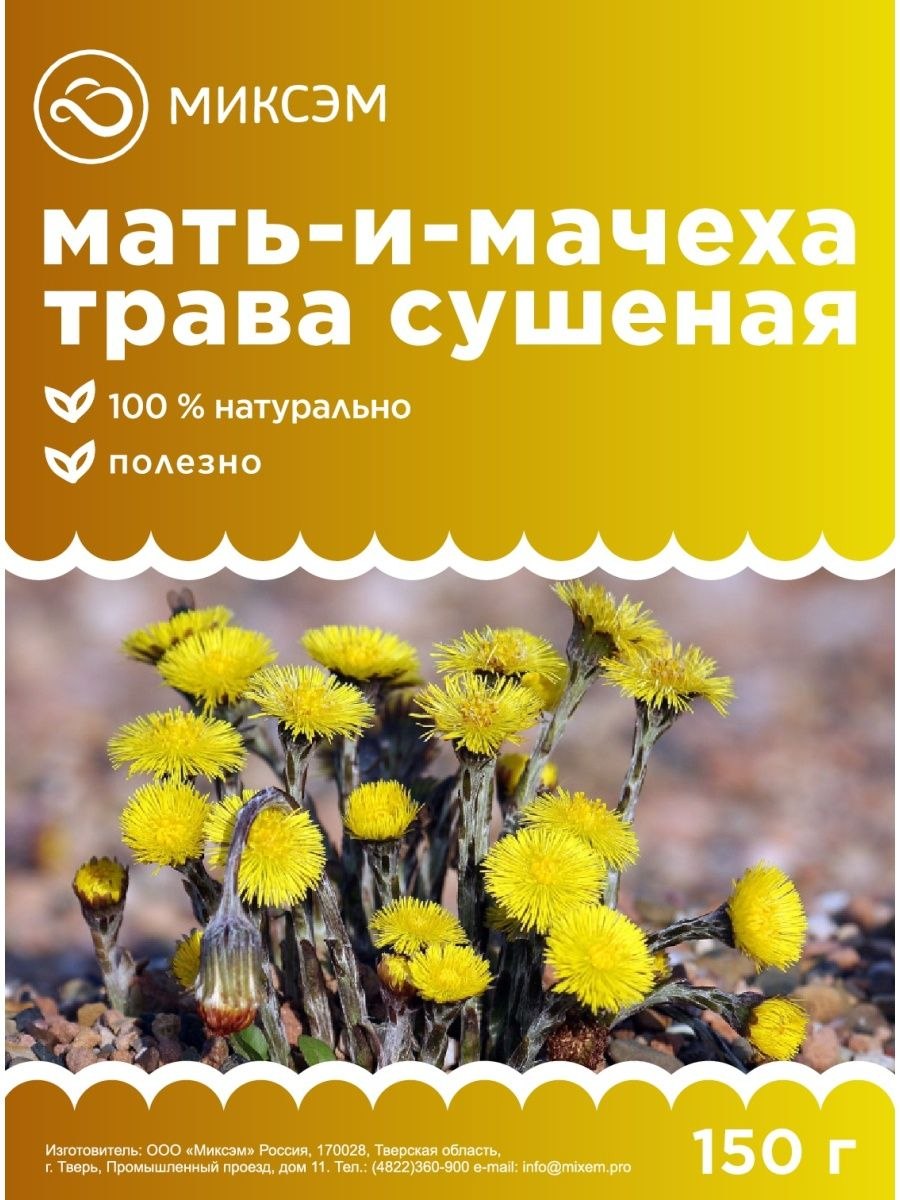 Мать и мачеха ЛРС