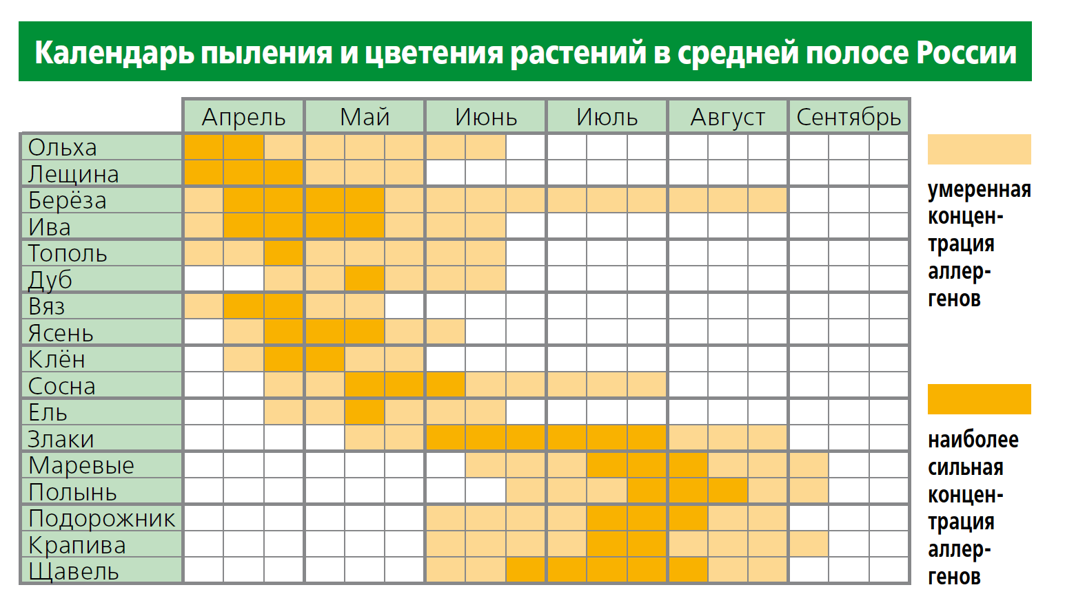 Поллиноз периоды цветения. Поллиноз календарь цветения. Таблица аллергии на цветение. Календарь цветения для аллергиков Сибирь.