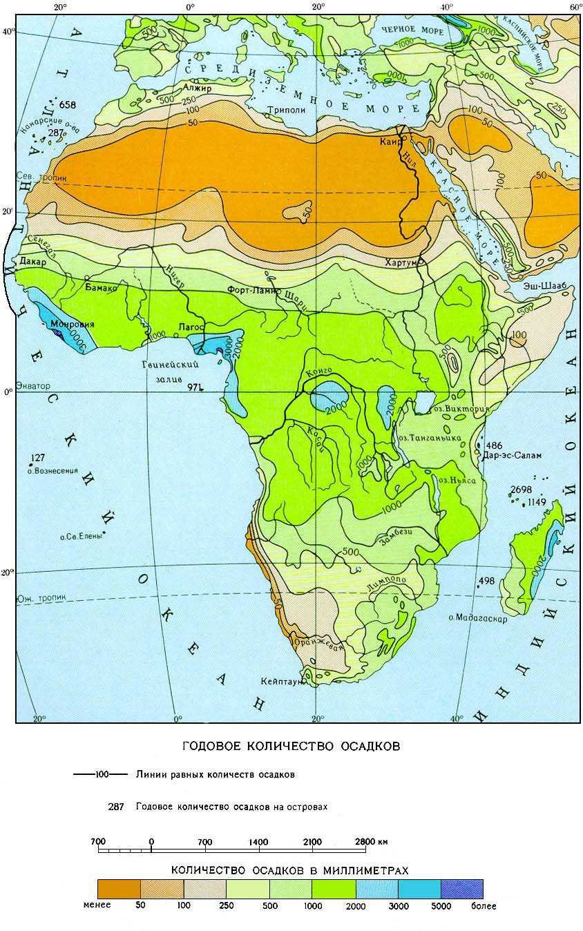 Животный мир субэкваториального пояса Африки