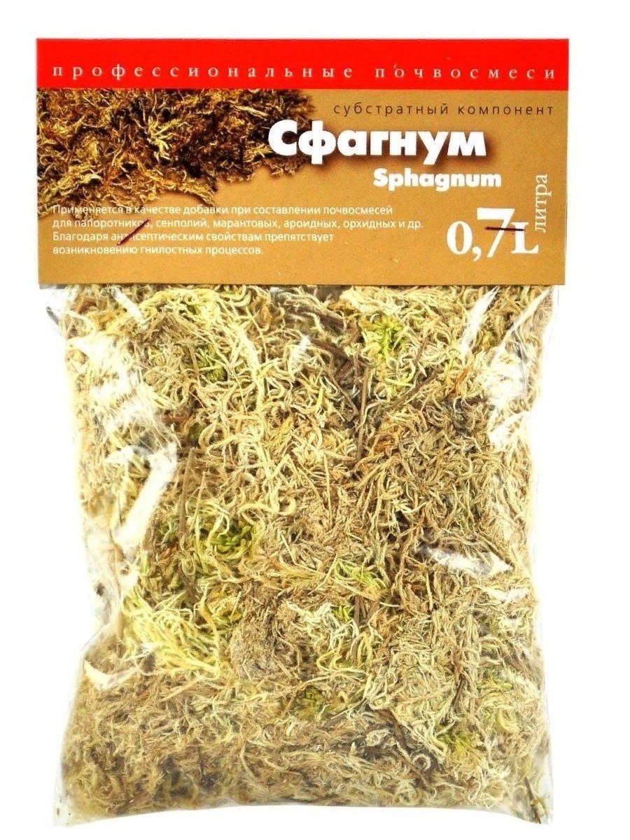 Мох сфагнум для орхидей