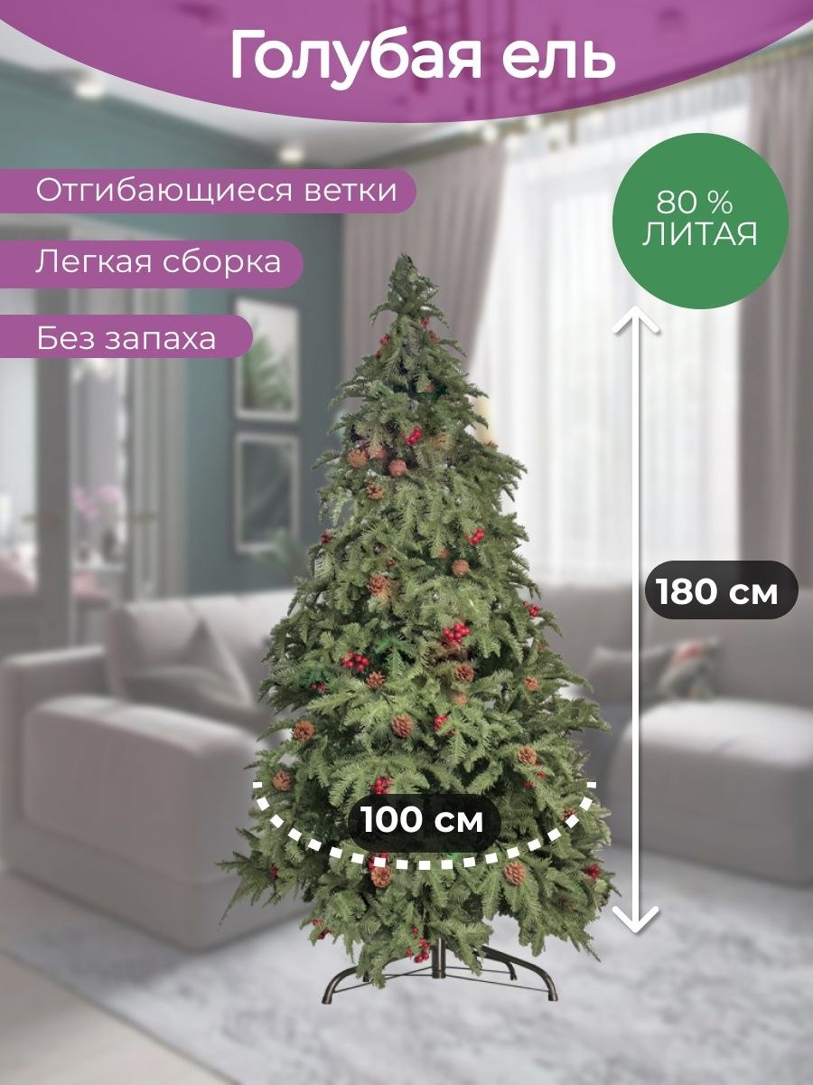 Корневая система туи схема