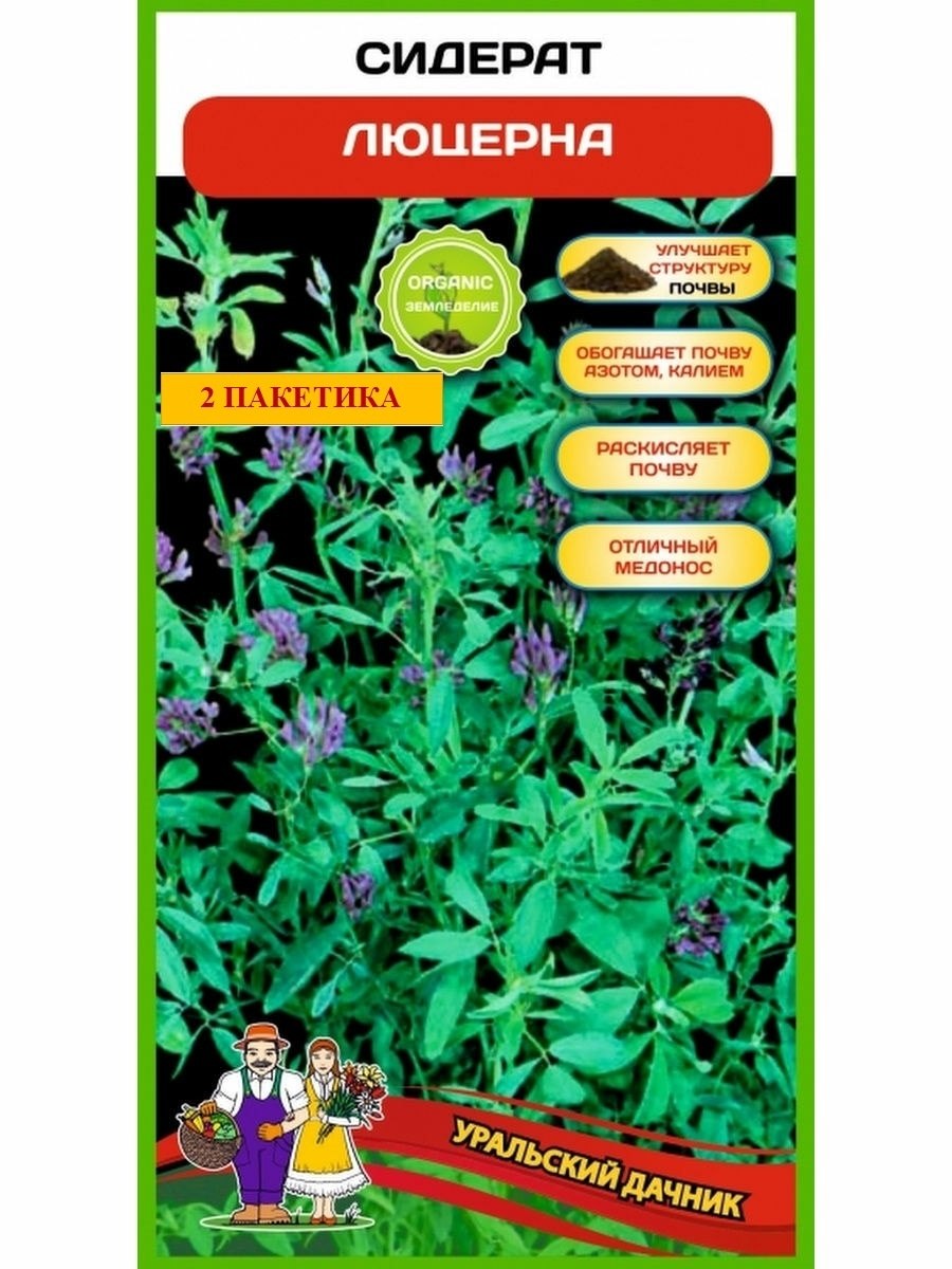 Растения семейства бобовых обогащают почву азотом