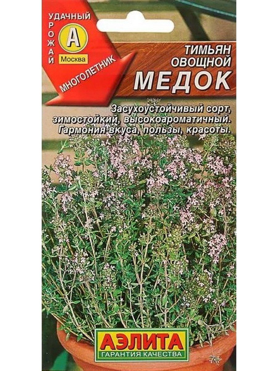 Тимьян Айболит