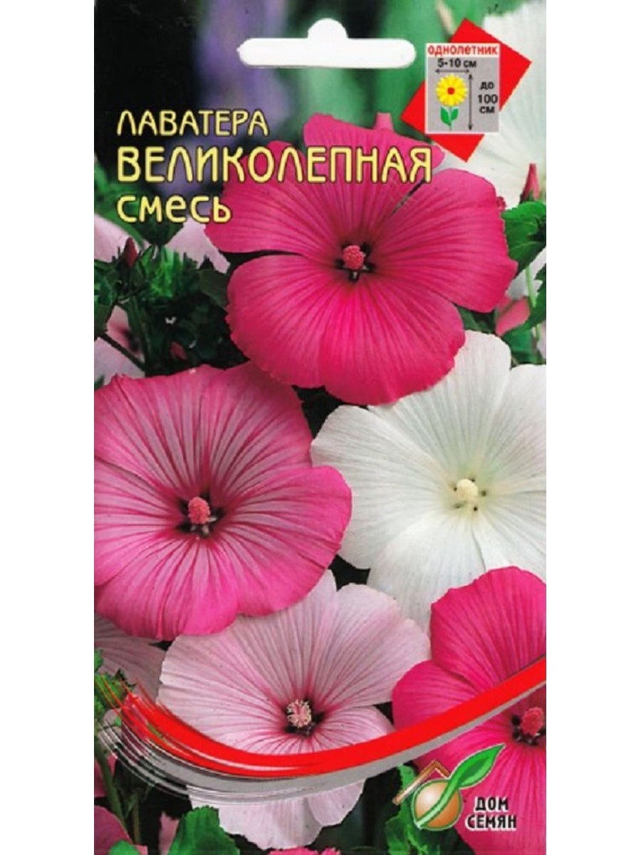 Лаватера хатьма