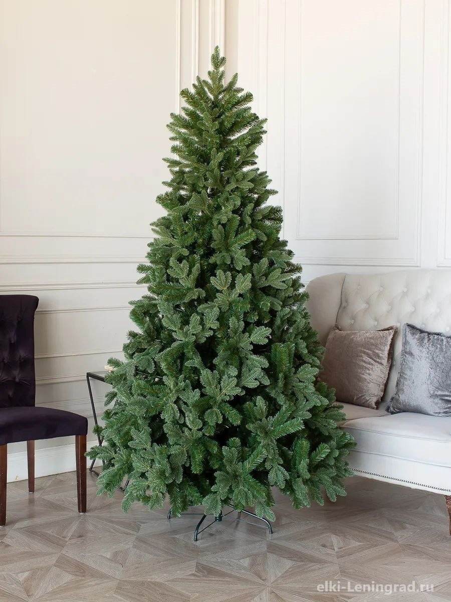 Pinus елка Элегант 3.5