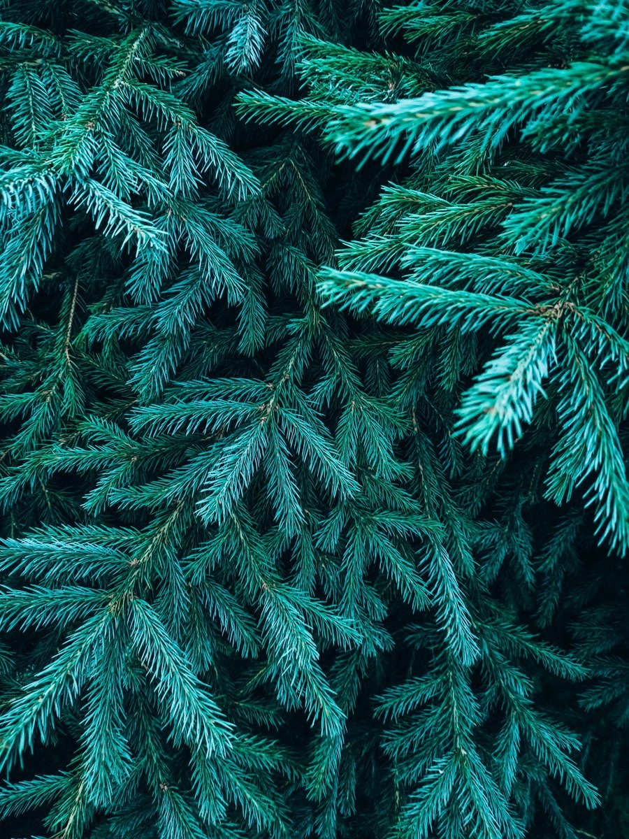 Green Trees ель Барокко премиум световая 2.4