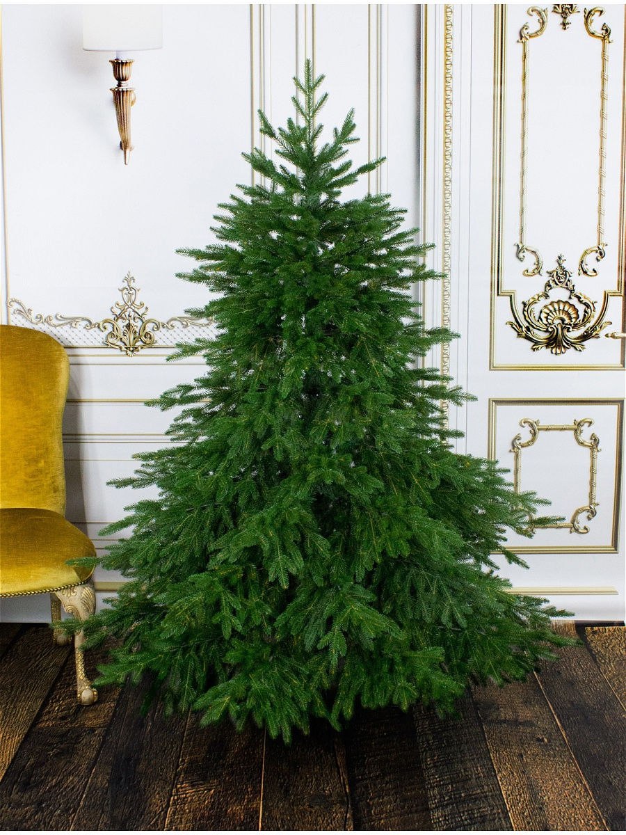 Голубая ель в Хабаровске