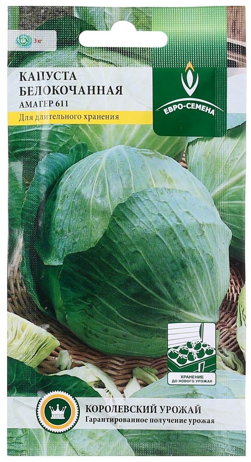 Капуста белокочанная Амагер