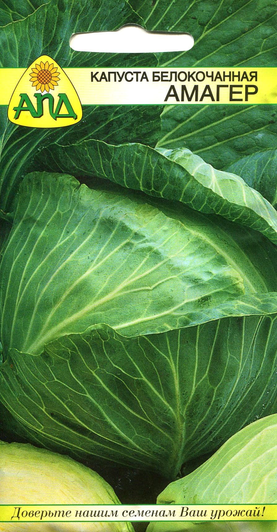 Брауншвейгская капуста