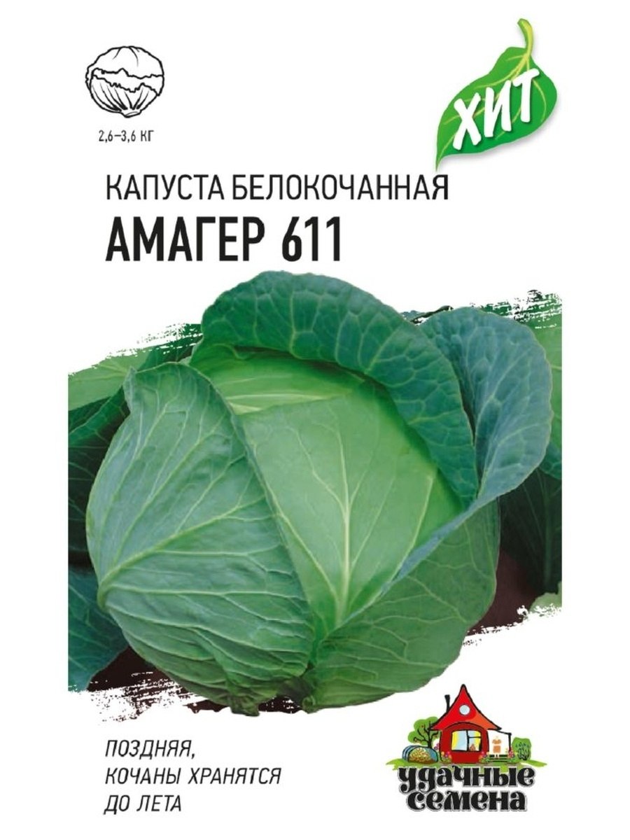 Капуста Амагер Уральский Дачник
