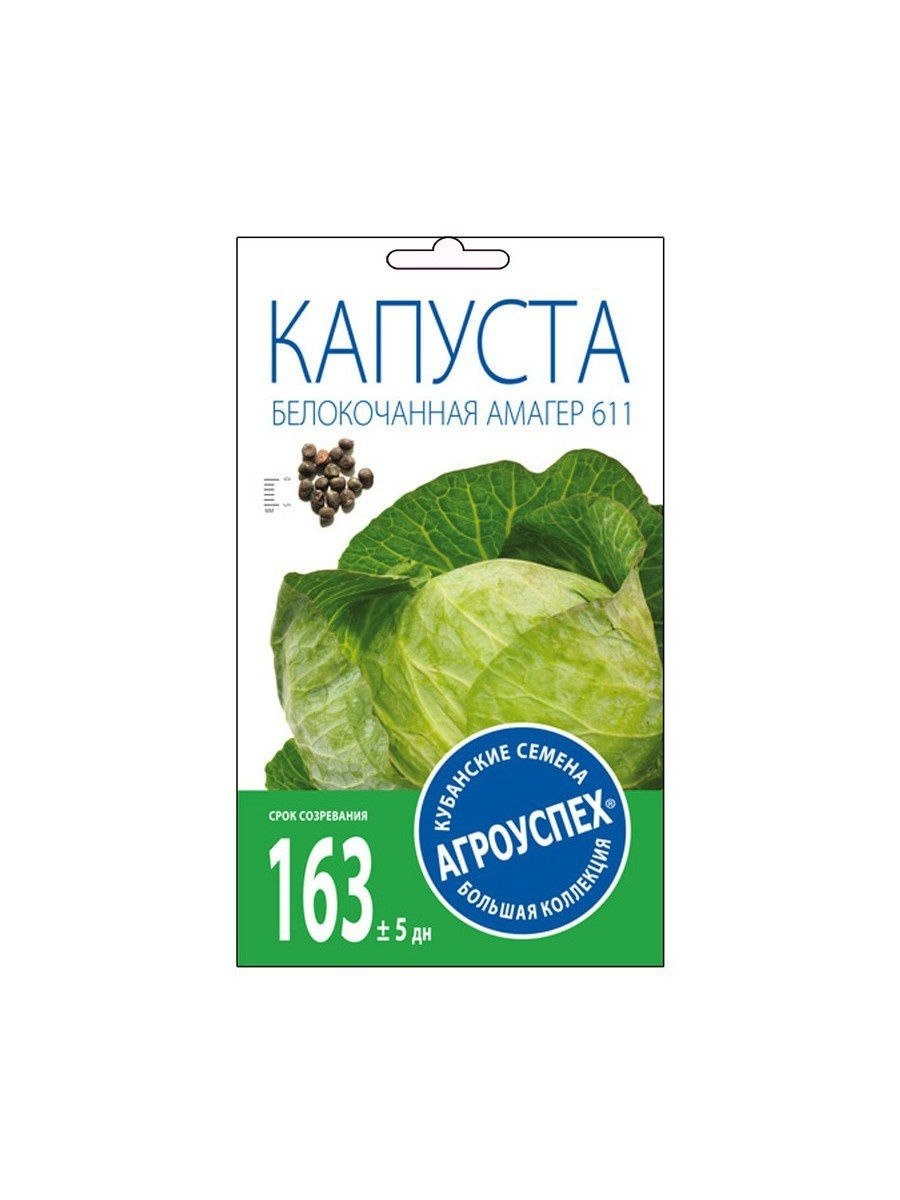Cabbage Узбекистана