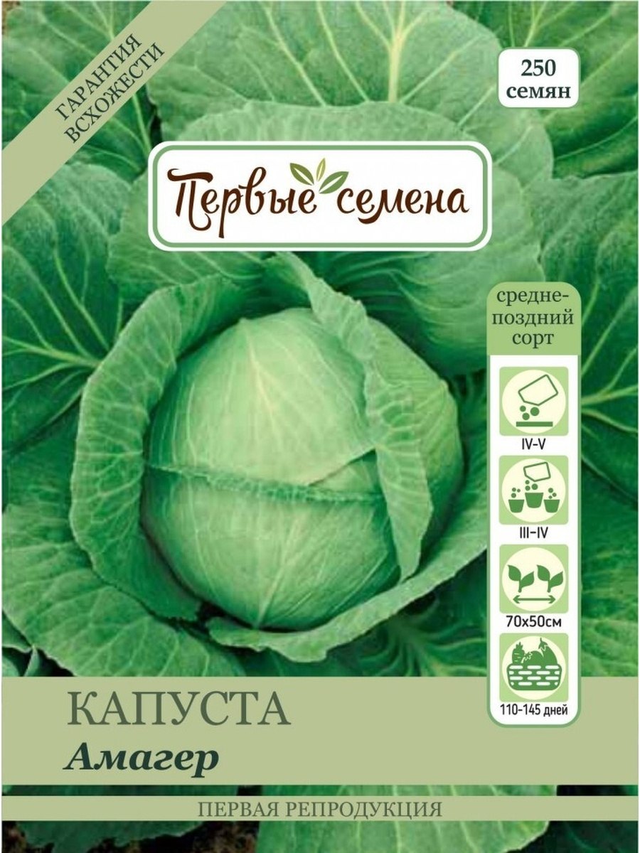 Белокочанная капуста амагер