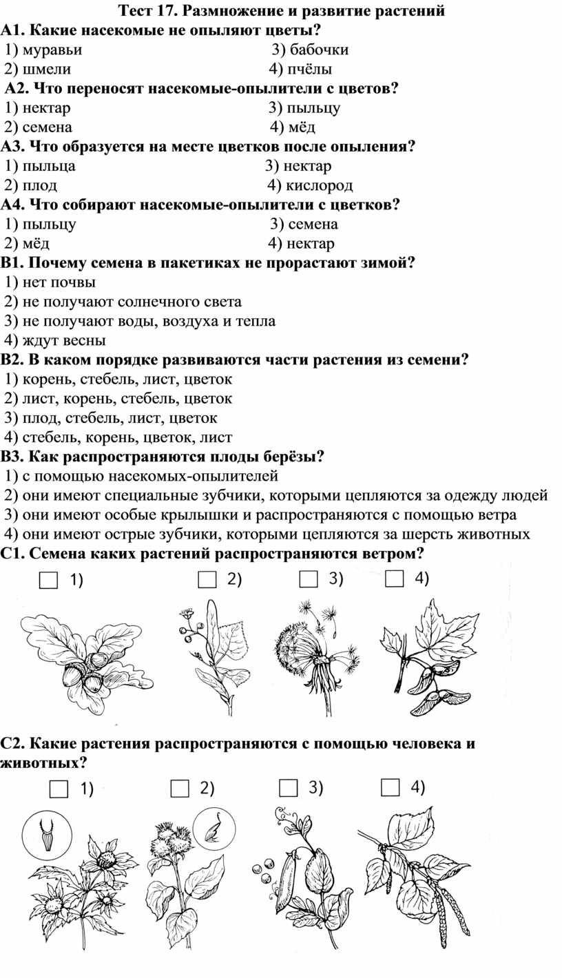 Размножение растений циклы развития особенности строения цветка плода соцветий семени
